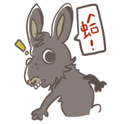 Big Black Rabbit