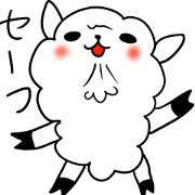 Pretty alpaca6
