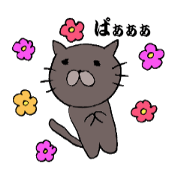 Black cat NYAN 2
