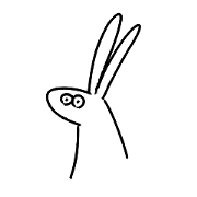 Look on  the rabbit