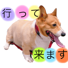 arisa_20200714131307