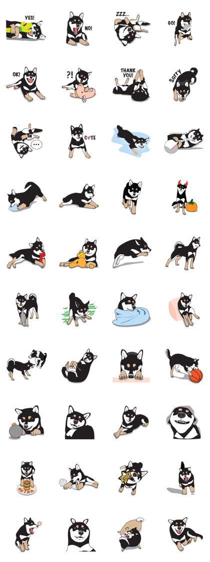 Black Shiba Inu Akira
