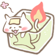 candle cat