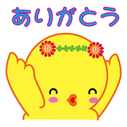 Bird bird's bird 3