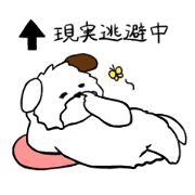 an extra dog