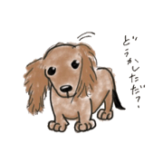 little long dogs