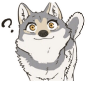 Cute wolf family