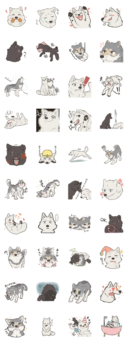 Cute wolf family