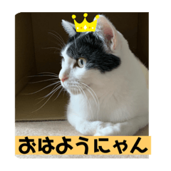 Tono_20200714124032