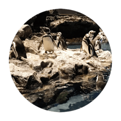 水族館noスタンプ