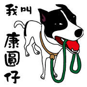 The Naughty Dog