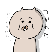 Talkative bear cat.