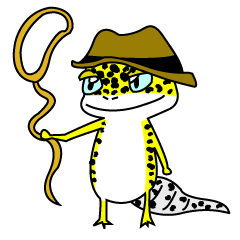 Leopard gecko - Cowboy version