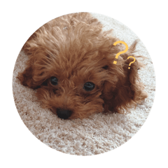 asuka_20200713202707