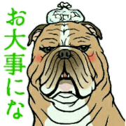 The fanny dogs