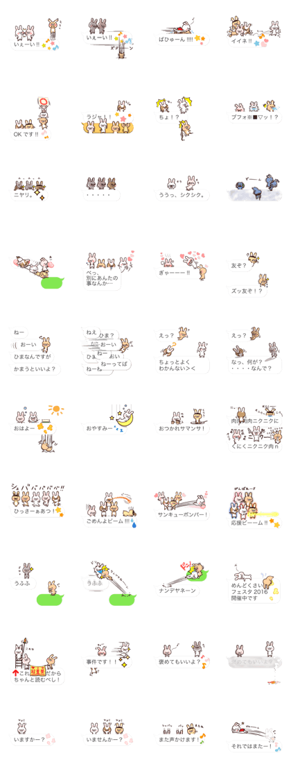Team Rabbit*