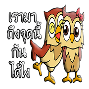 Owls naughty