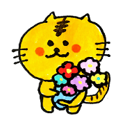 Tiger cat , day-to-day Torao
