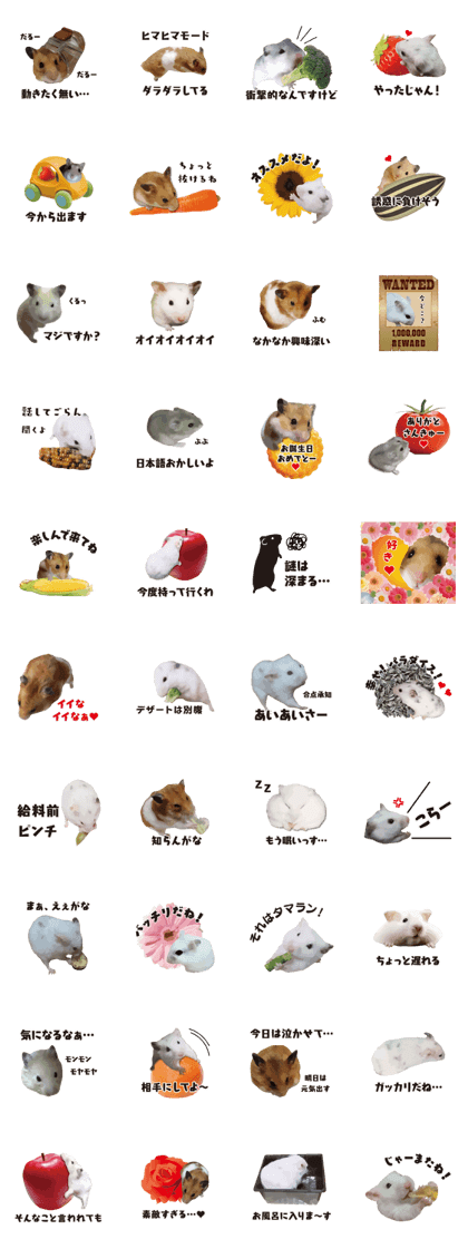 I like hamsters 2
