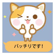 Notes is thin cat 2