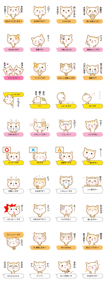 Notes is thin cat 2