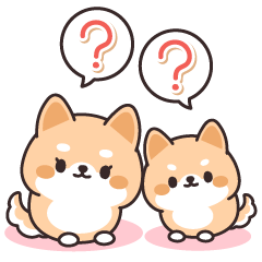 Contact of Shiba inu parent and child