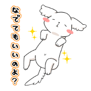 Momoko is Maltese.