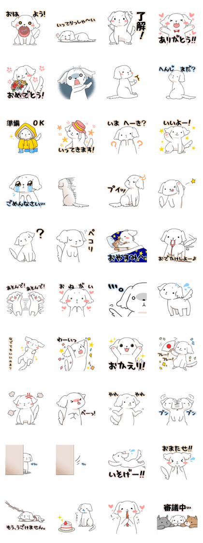 Momoko is Maltese.