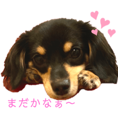 mina_20200713213945