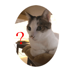 saori_20200713212405