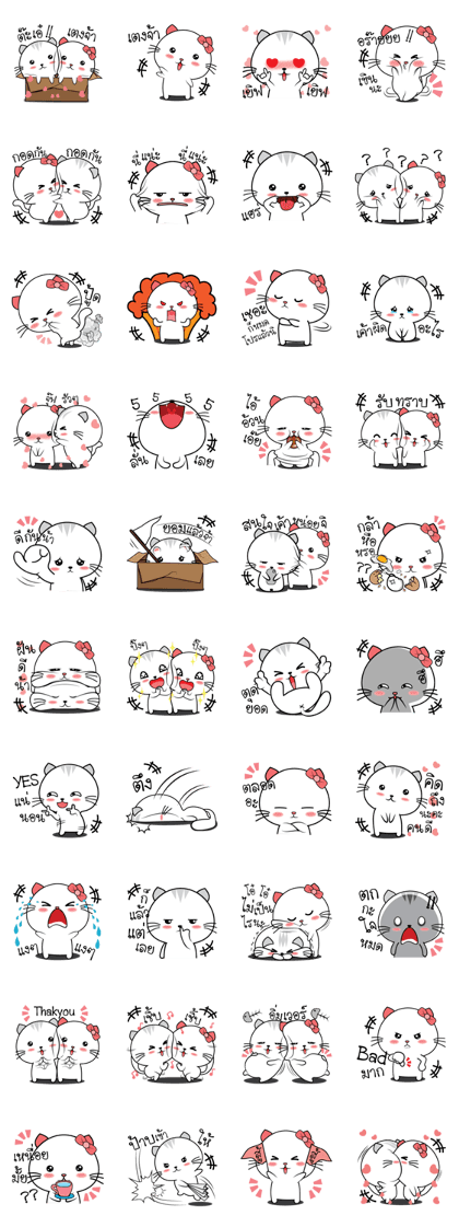 Cat in lover