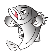 seabass
