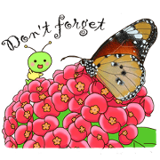Butterflies of Taiwan & Caterpillar