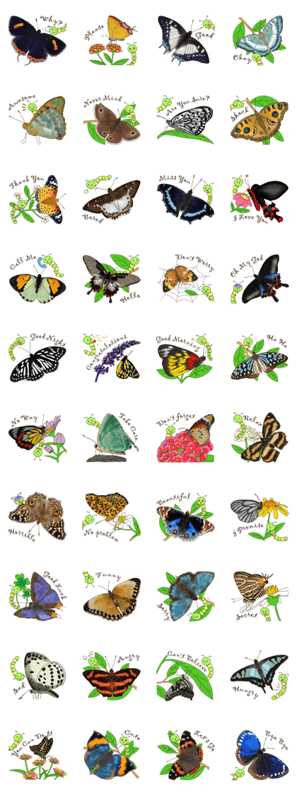 Butterflies of Taiwan & Caterpillar