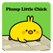 Plump Little Chick