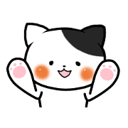 Mr.Nekochi