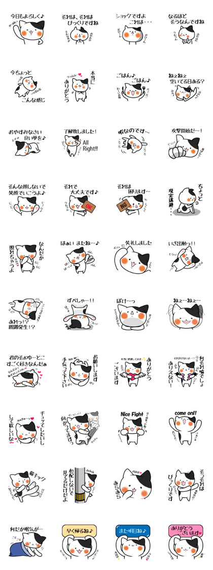 Mr.Nekochi