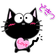 Black cat debut