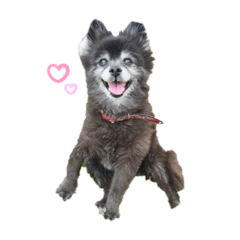 yurina_20200713231941