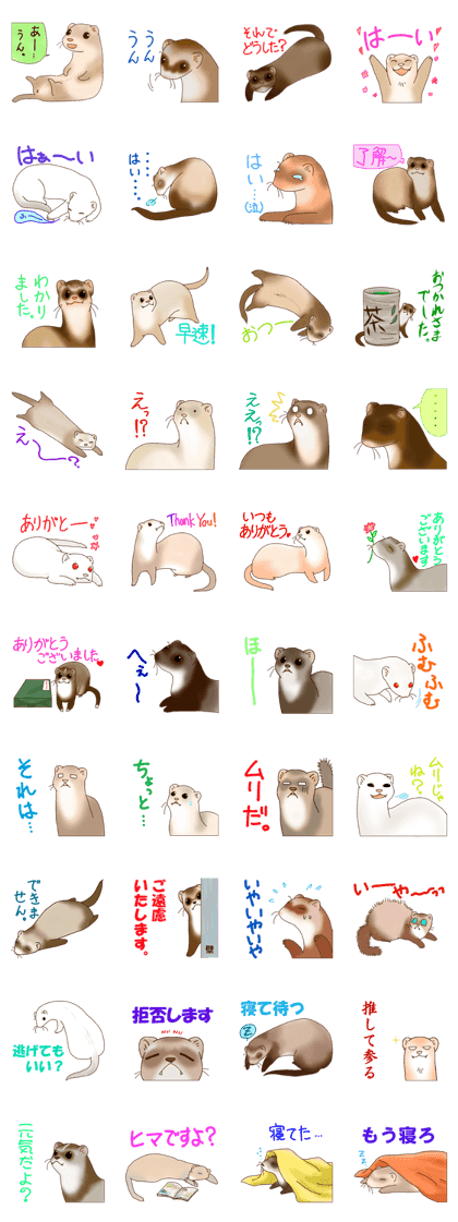 Ferret Sticker jp 3