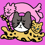 cat&his friends