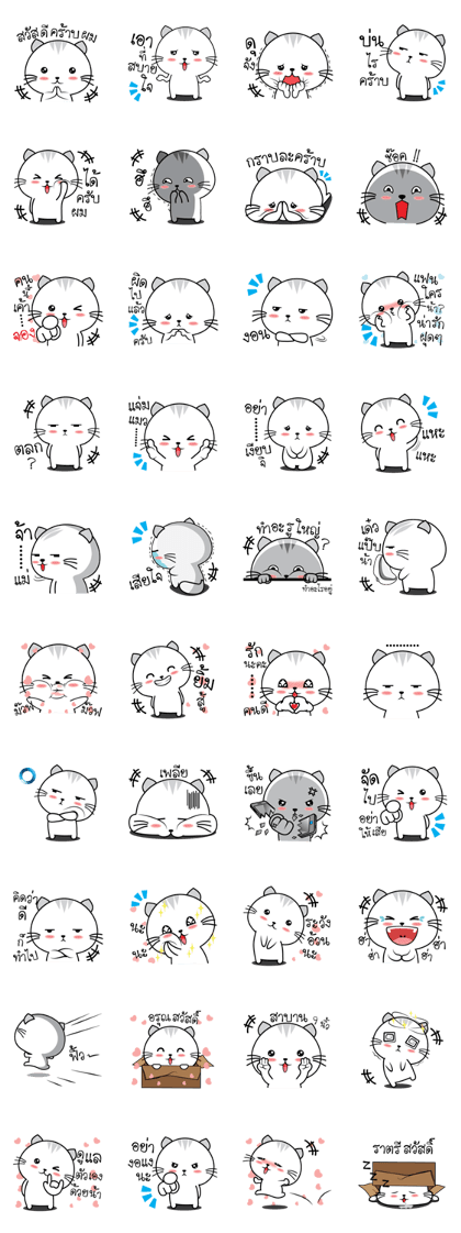 Mr. cat (TH)