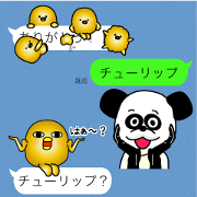 1/3 naive panda5