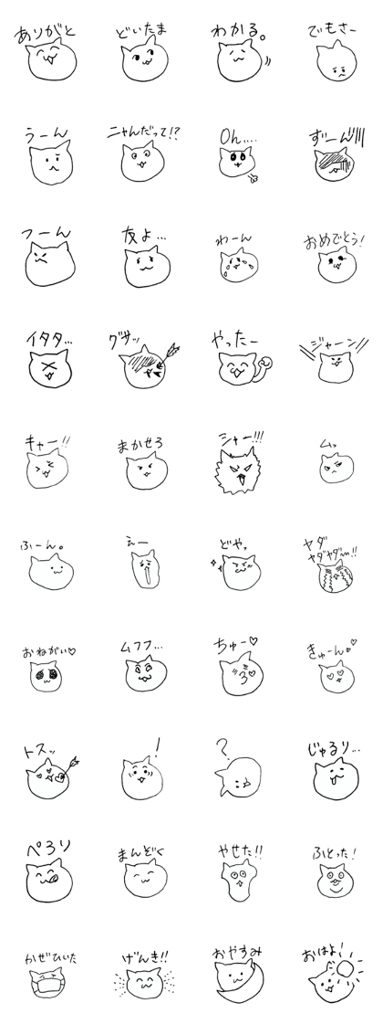 face of your cat