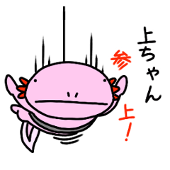 แสตมป์สำหรับ [เหนือจัง]Axolotl