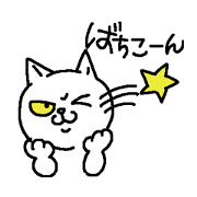 Cat staring