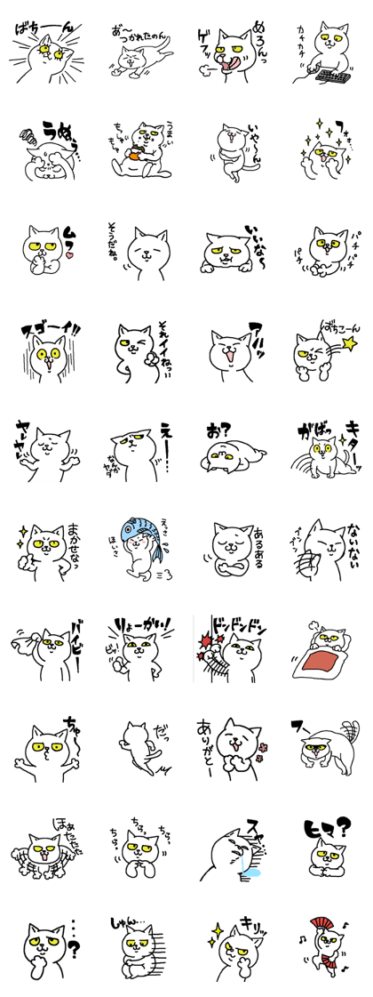 Cat staring
