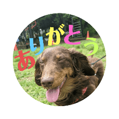 yuina_20200714235034