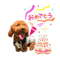 Saori_20200715002708