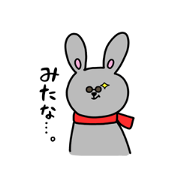 Rabbit Glasses Daily